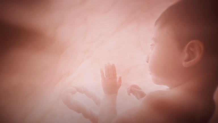 Baby Olivia Erklärvideo - Screenshot Youtube